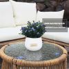 6PCS Outdoor Patio Balcony Natural Color Wicker Sofa Chair Set with Beige Cushion; Round Tempered Glass Table and Furniture Cover