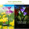 2Pcs Solar Garden Lights Outdoor Lily Flower LED Light 7-Color Changing IP65 Waterproof